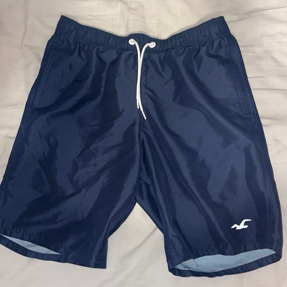Hollister Mens Swim Trunks